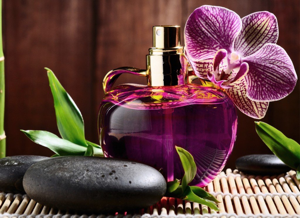 melhor perfume importado feminino fragrancias